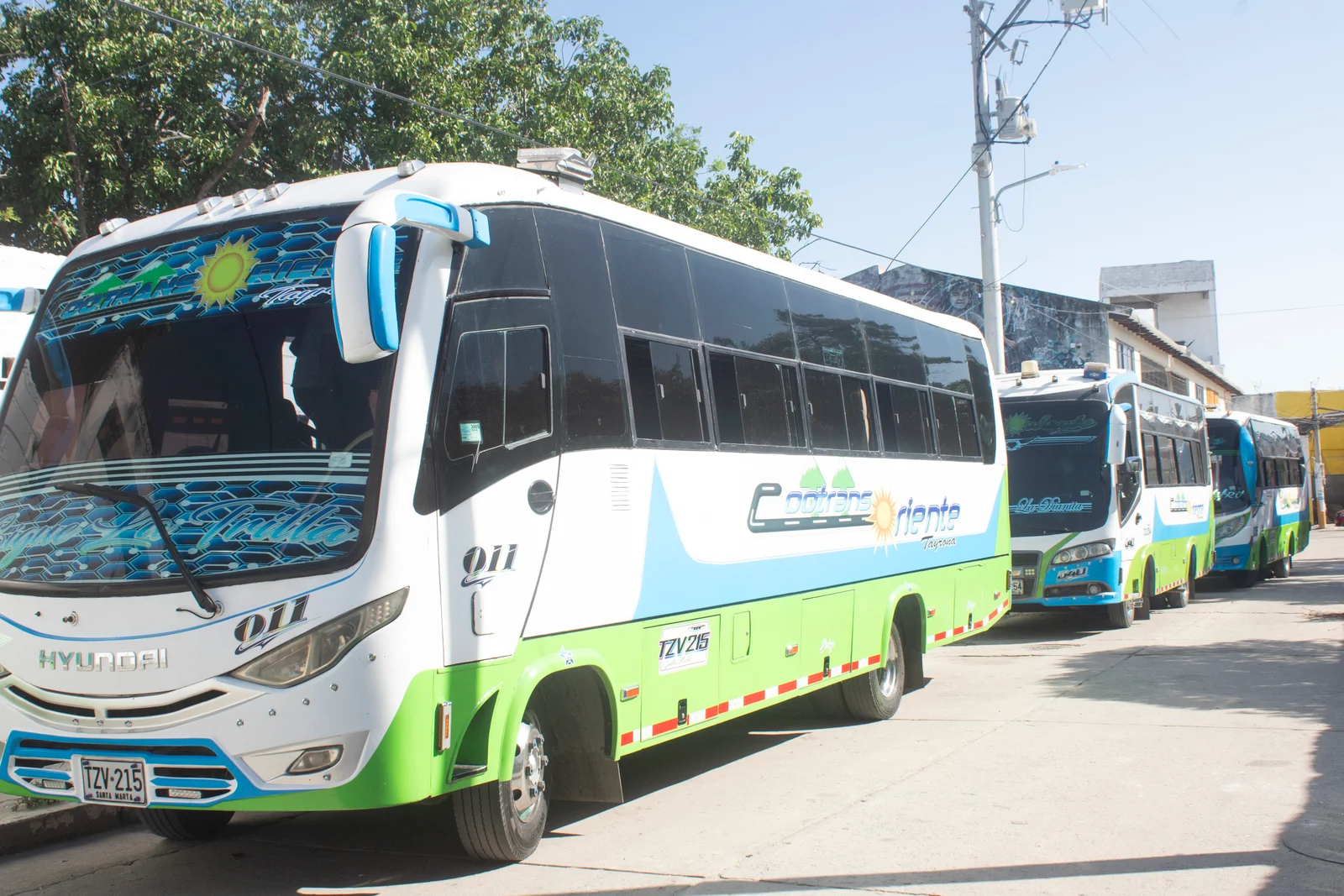 tayrona bus cootransoriente santa marta